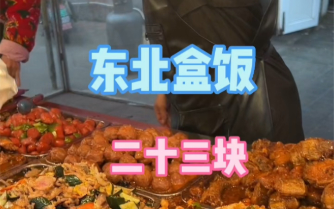 这家盒饭东北酱味很浓,很符合我的口味,这么多菜才二十三耶