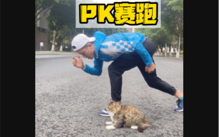 [图]松风和小PB赛跑