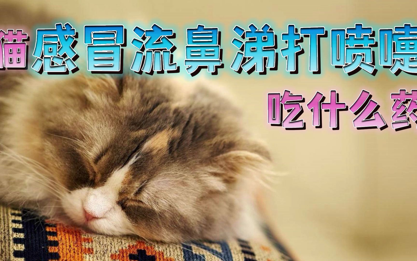 猫感冒流鼻涕打喷嚏吃什么药哔哩哔哩bilibili