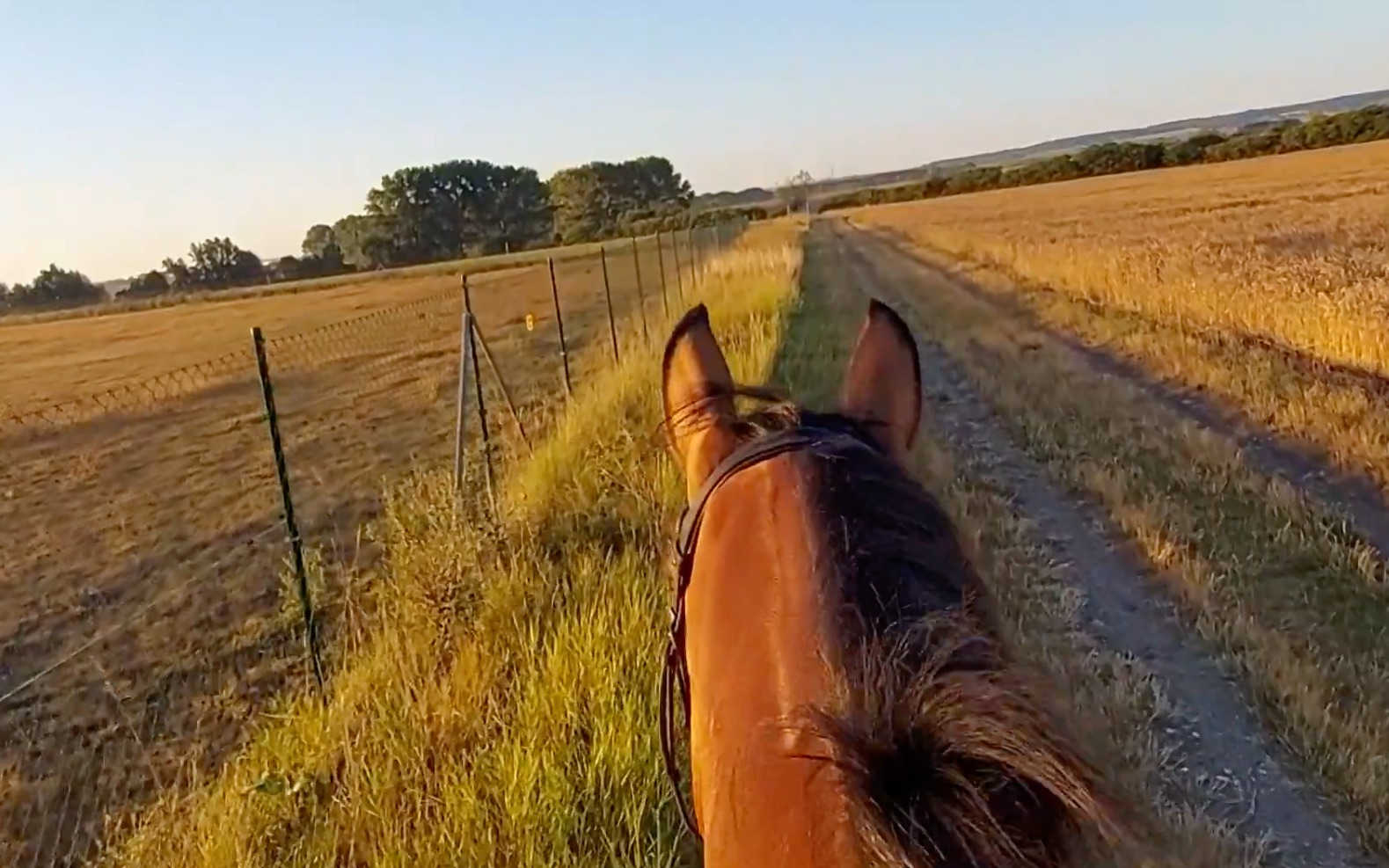 zeunes助眠第一人称骑马八月夏季景色环境音马蹄声无人声