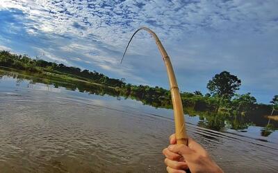 【云钓鱼 第37期】小伙用自制竹竿钓到长牙怪鱼