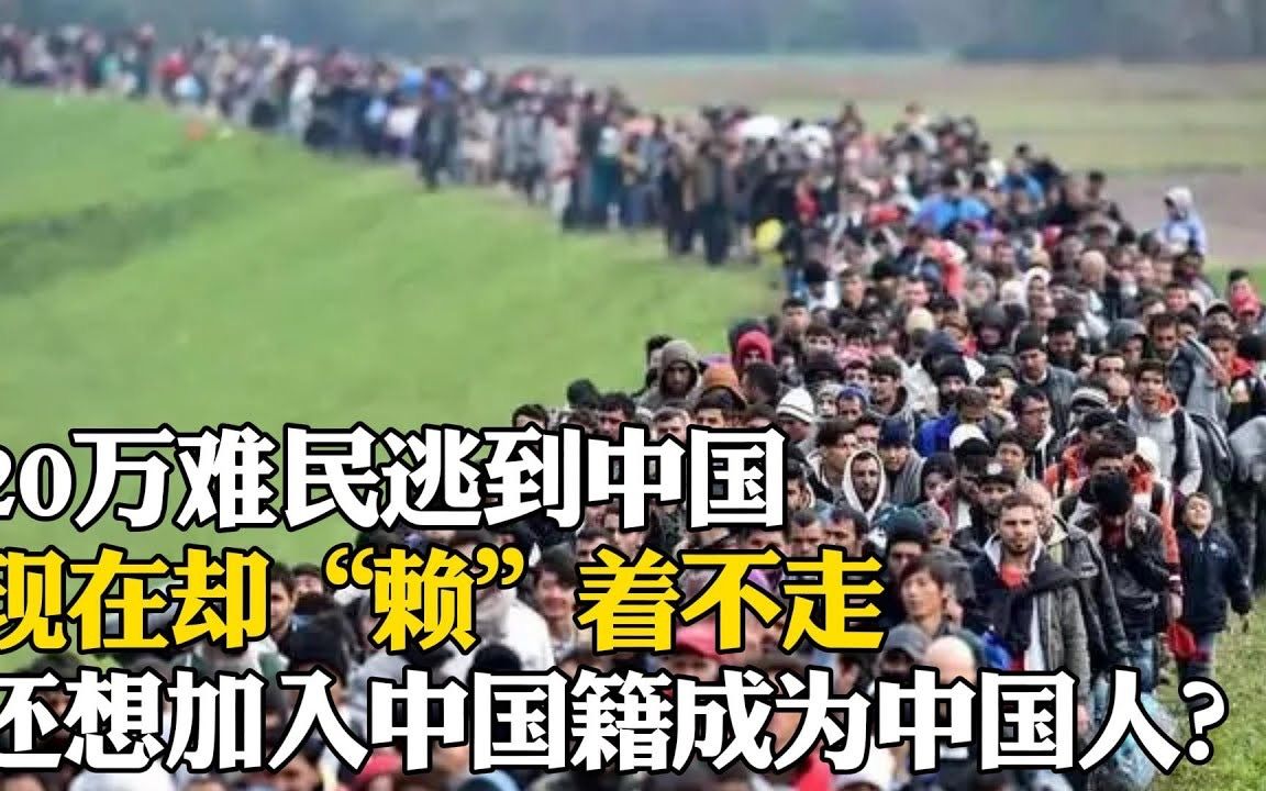 20万难民逃到中国,现在却"赖"著不走,还想加入中国籍成为中国人?
