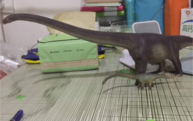 199元博物馆系列马门溪龙尔玛测评