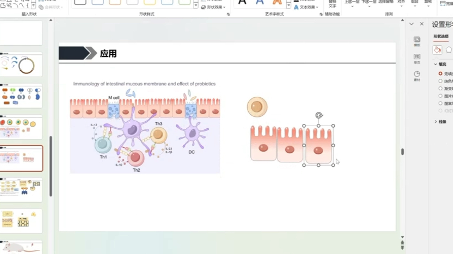 PPT画小肠上皮细胞,快码住吧~哔哩哔哩bilibili