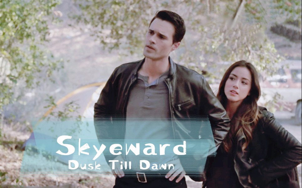 【神盾局特工/skyeward】她与她的s.o.