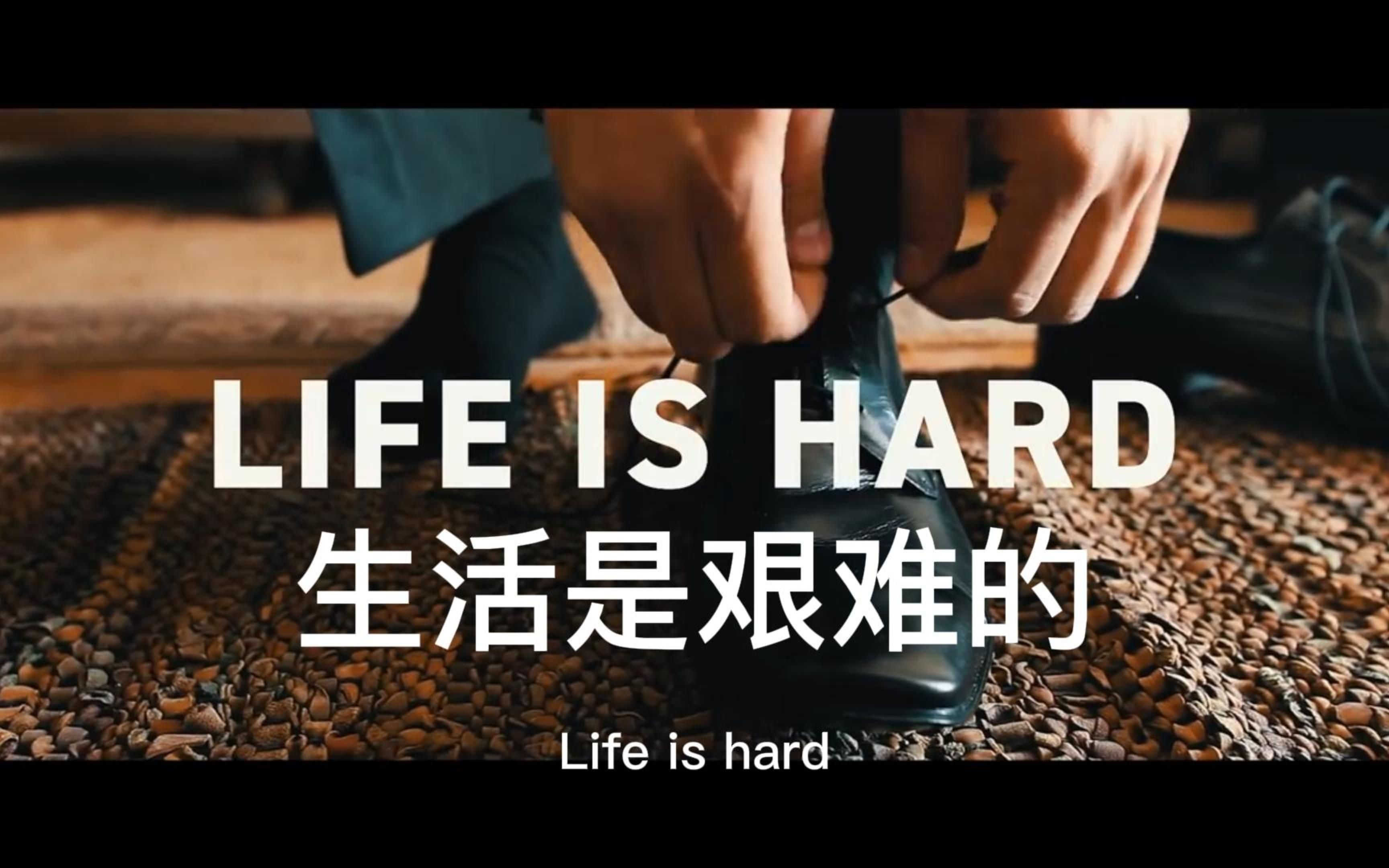生活如此艰难,那生命的意义是什么?