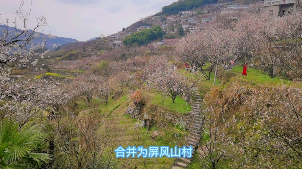 [图]花园村庄，童话世界，樱桃花很美，樱桃更甜