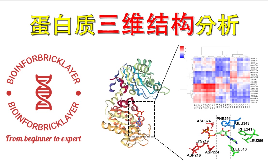 【生信进阶之路|技能篇09】蛋白质小分子相互作用分析哔哩哔哩bilibili