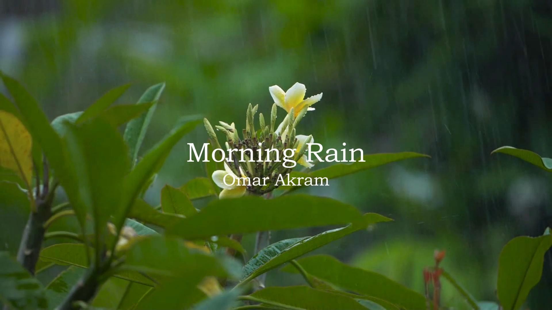 [图]Omar Akram - Mouning Rain