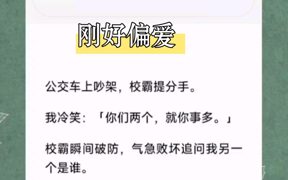 公交车上吵架,校霸提分手.我冷笑:「你们两个,就你事多.」校霸瞬间破防,气急败坏追问我另一个是谁.短篇小说《刚好偏爱》哔哩哔哩bilibili