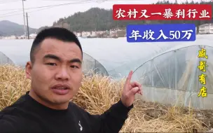 Tải video: 小伙打工10多年，回家花8万租了几亩地搞种植，没想到年入50万