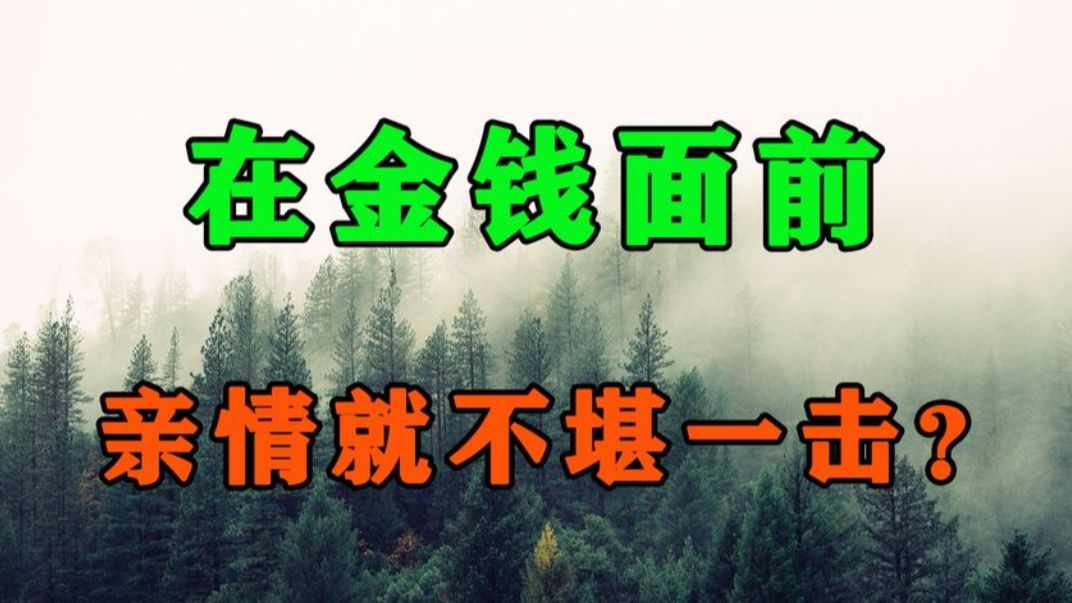 在金钱面前,亲情就真的淡薄如纸吗?看完你就全明白了哔哩哔哩bilibili