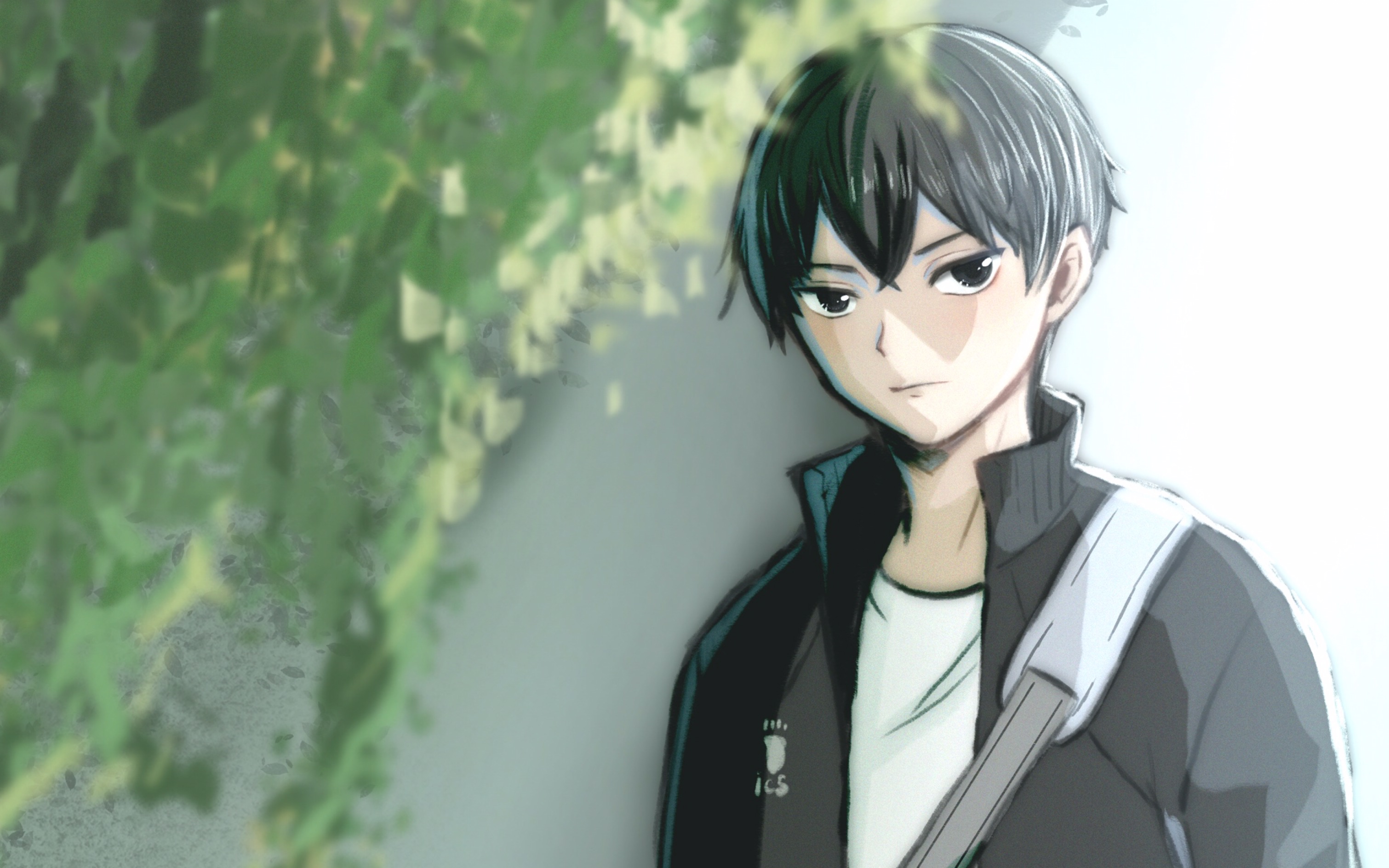 【procreate】影山飞雄用广告的方式打开排球少年