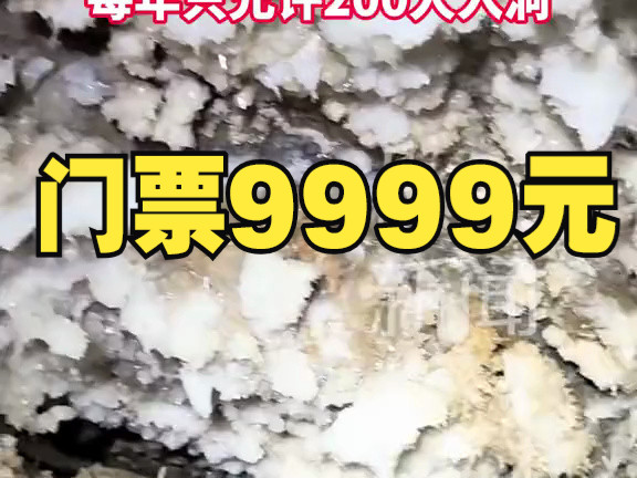 贵州一景点门票9999元,景区:科考价值高,每年只允许200人入洞.哔哩哔哩bilibili