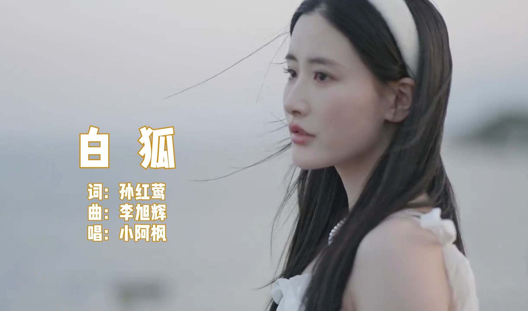 车载dj歌曲欣赏-《白狐》,wav无损音质,小阿枫演唱