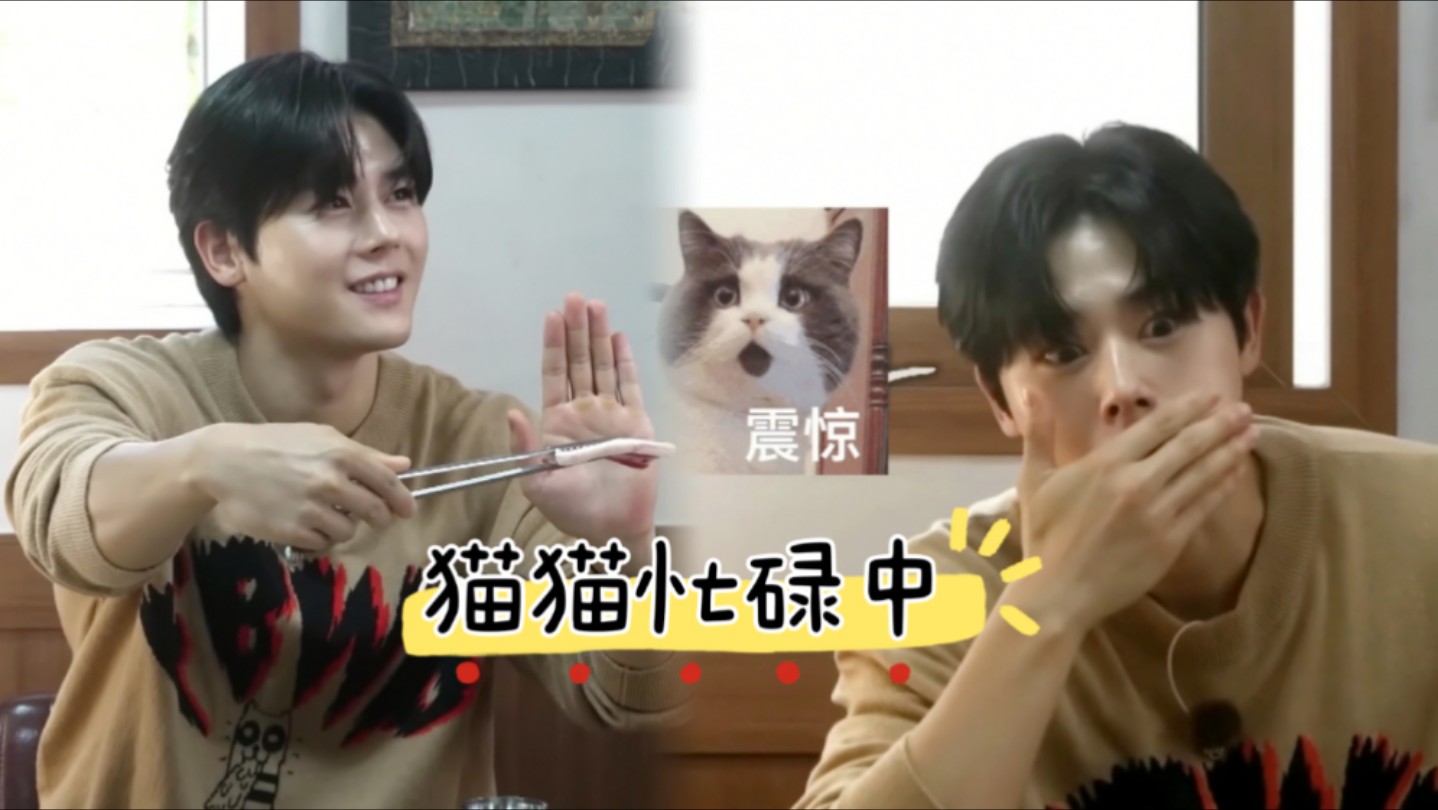 【金桐俊】深入骨髓的"吃播夸张魂"～241101《全炫茂计划》桐俊cut