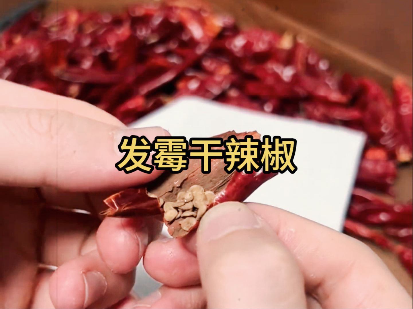 大家买回来的干辣椒请仔细检查一下内部