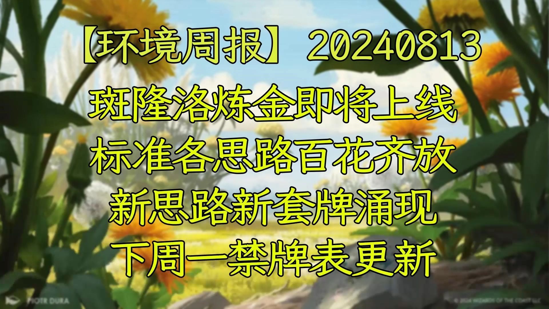 【环境周报】20240820 斑隆洛炼金即将上线;标准各思路百花齐放,新思路新套牌涌现;下周一禁牌表更新 万智牌MTGA【自制】万智牌