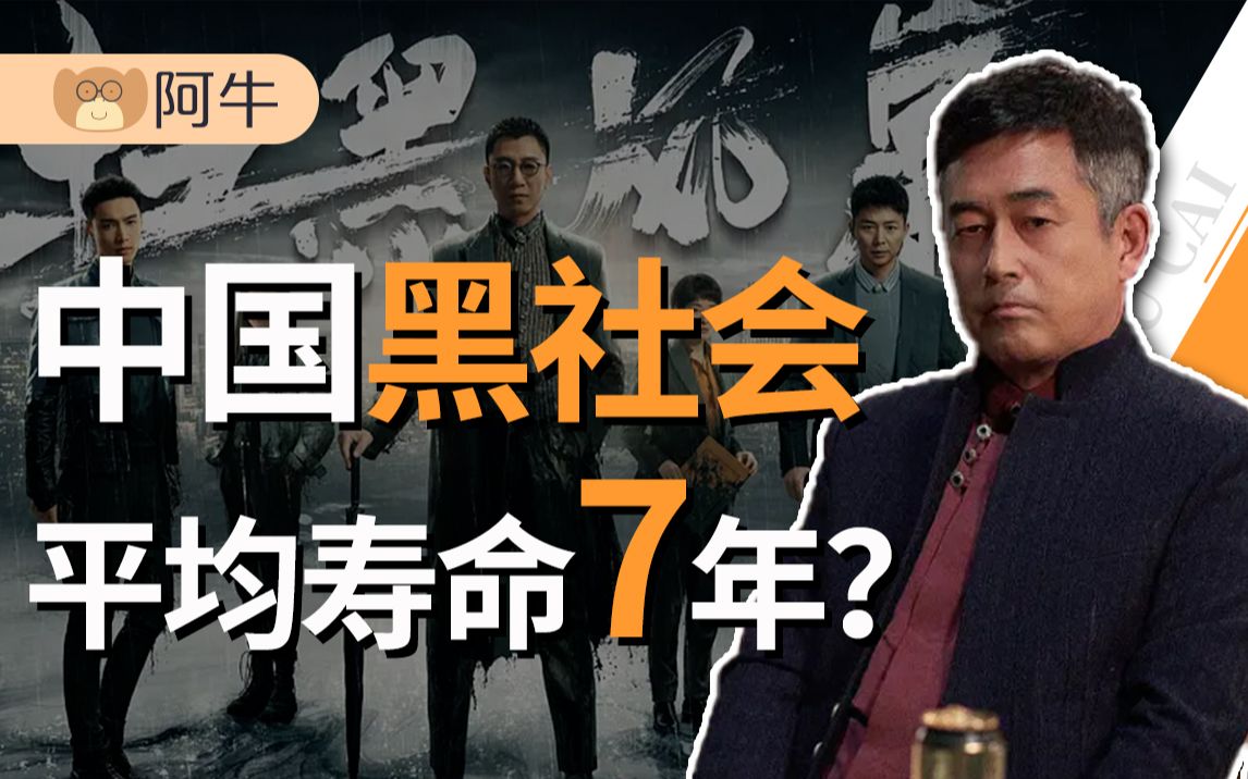 【阿牛】《扫黑风暴》现实版:国家每10年一次严打,黑社会平均寿命不足7年哔哩哔哩bilibili