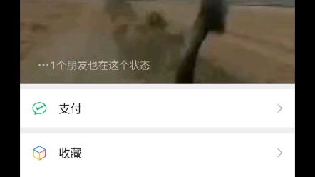 野马野马哔哩哔哩bilibili