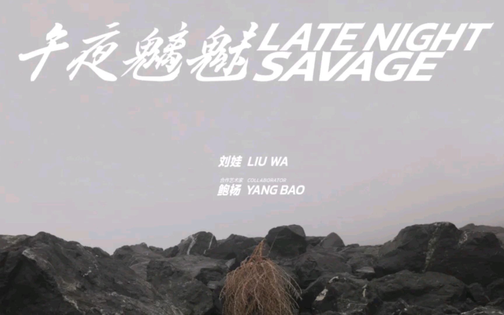 [图]展览｜影像作品《午夜魑魅 LATE NIGHT SAVAGE》，三种核基地植物的日与夜