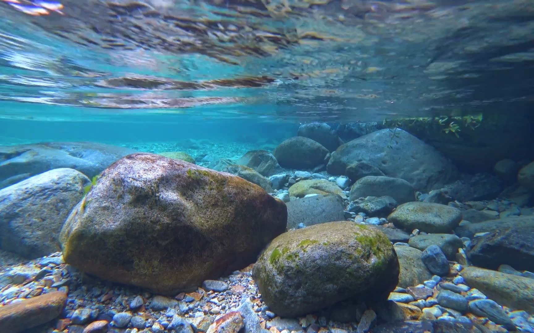 【大自然的宝藏:白噪音】清澈泉水下的世界