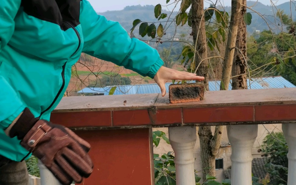 过年了,给大家表演一段杂技——徒手劈砖05