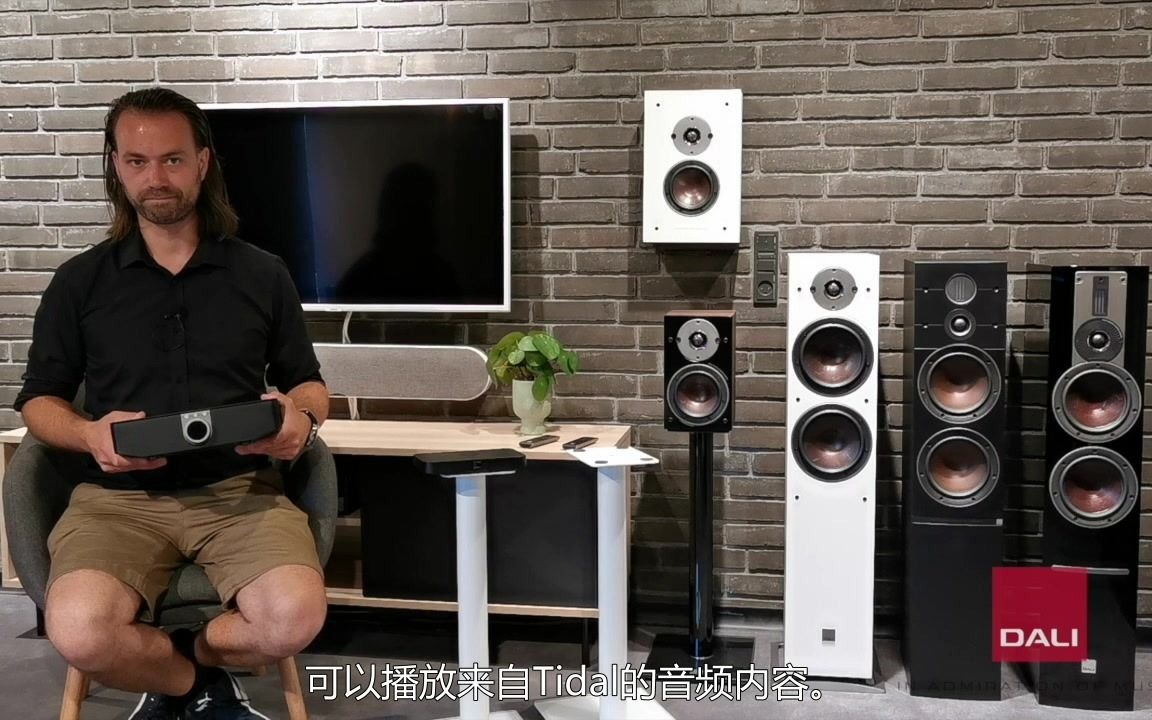dalioberonc达尼博睿无线音响系统简介3soundhub