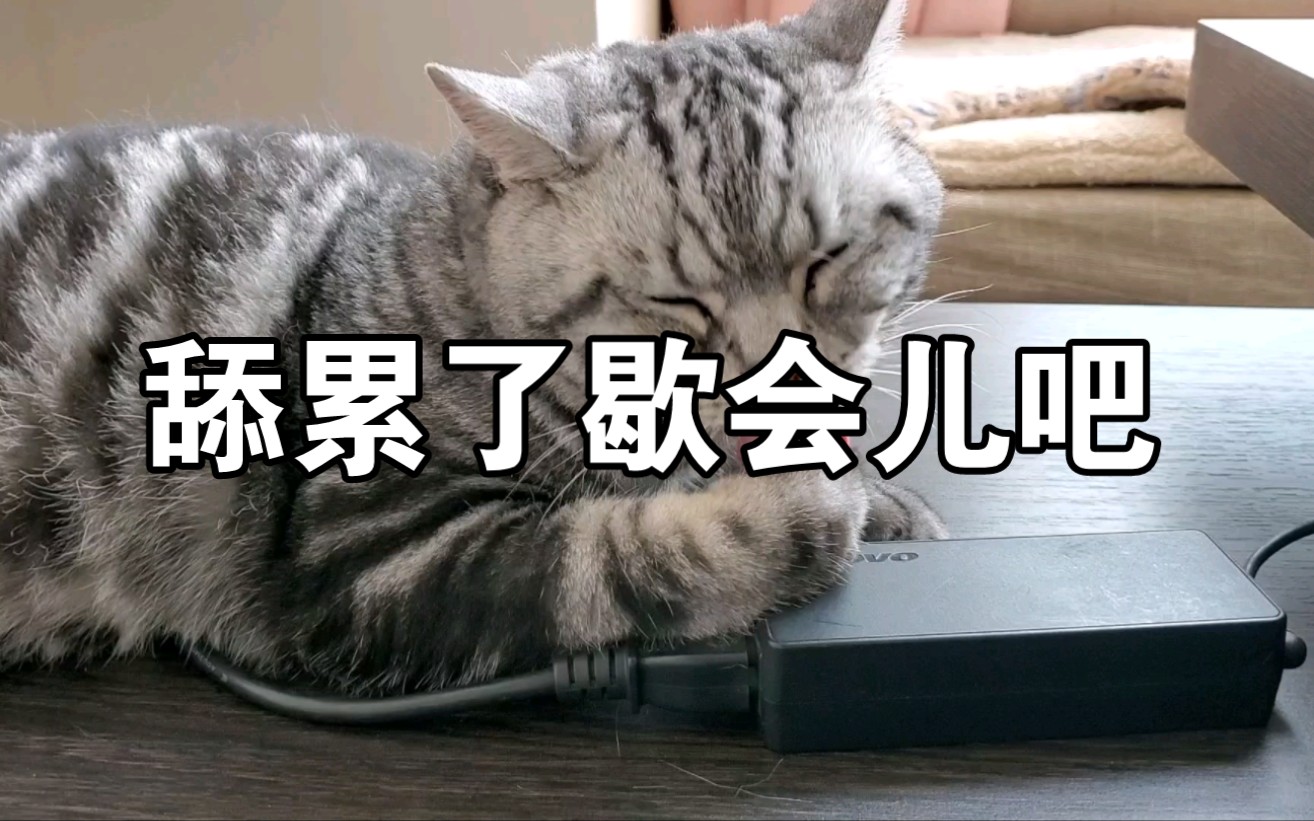 舔累了歇会儿吧(反正闲着也是闲着,舔舔再歇歇!