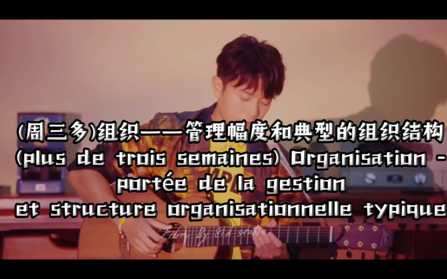 (周三多)组织——管理幅度和典型的组织结构(plus de trois semaines) Organisation哔哩哔哩bilibili