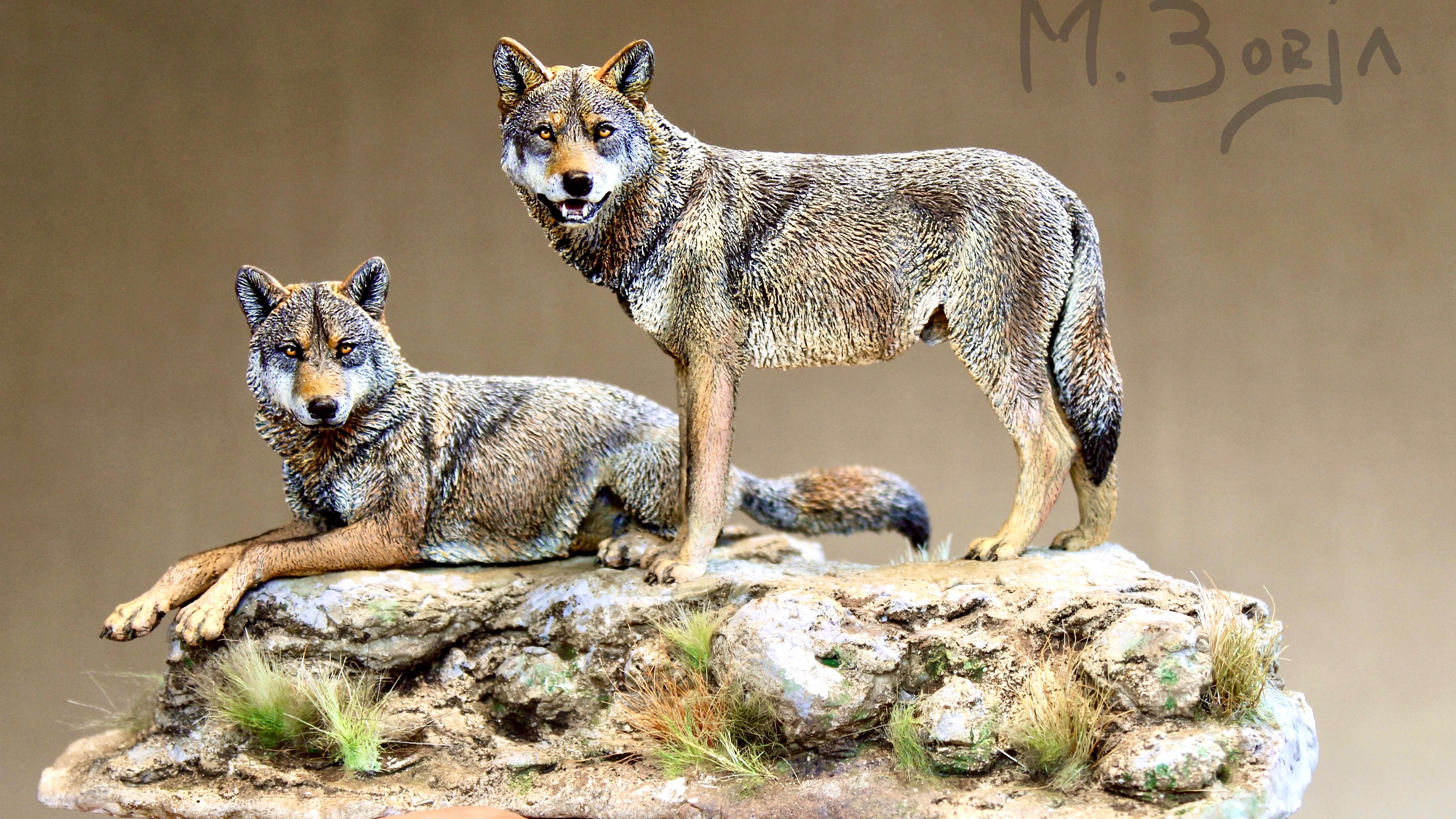 伊比利亚狼雕塑制作过程 lobo ibÉrico