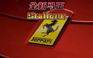 Скачать видео: 全新马王Stallone