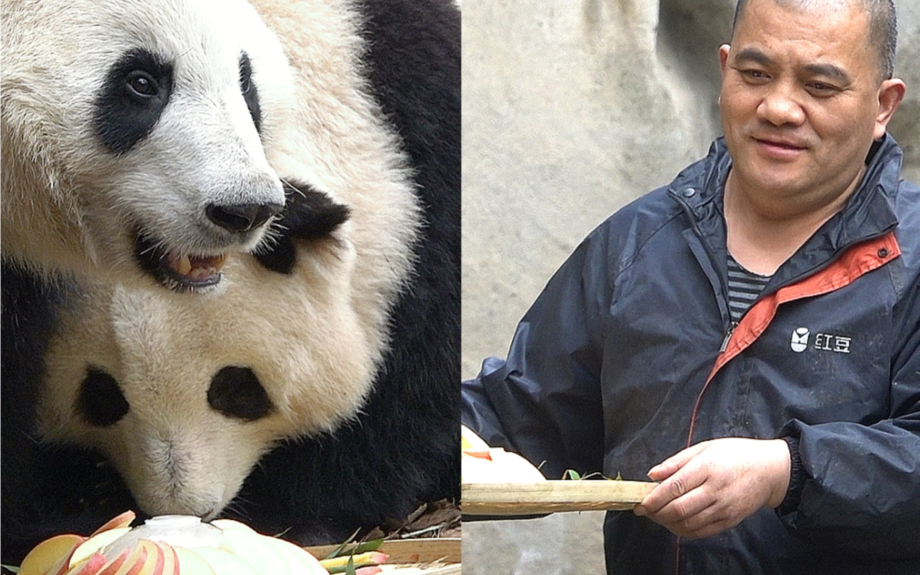 02.20 谭爷爷笑咪咪的端了个苹果夏洛特蛋糕出来