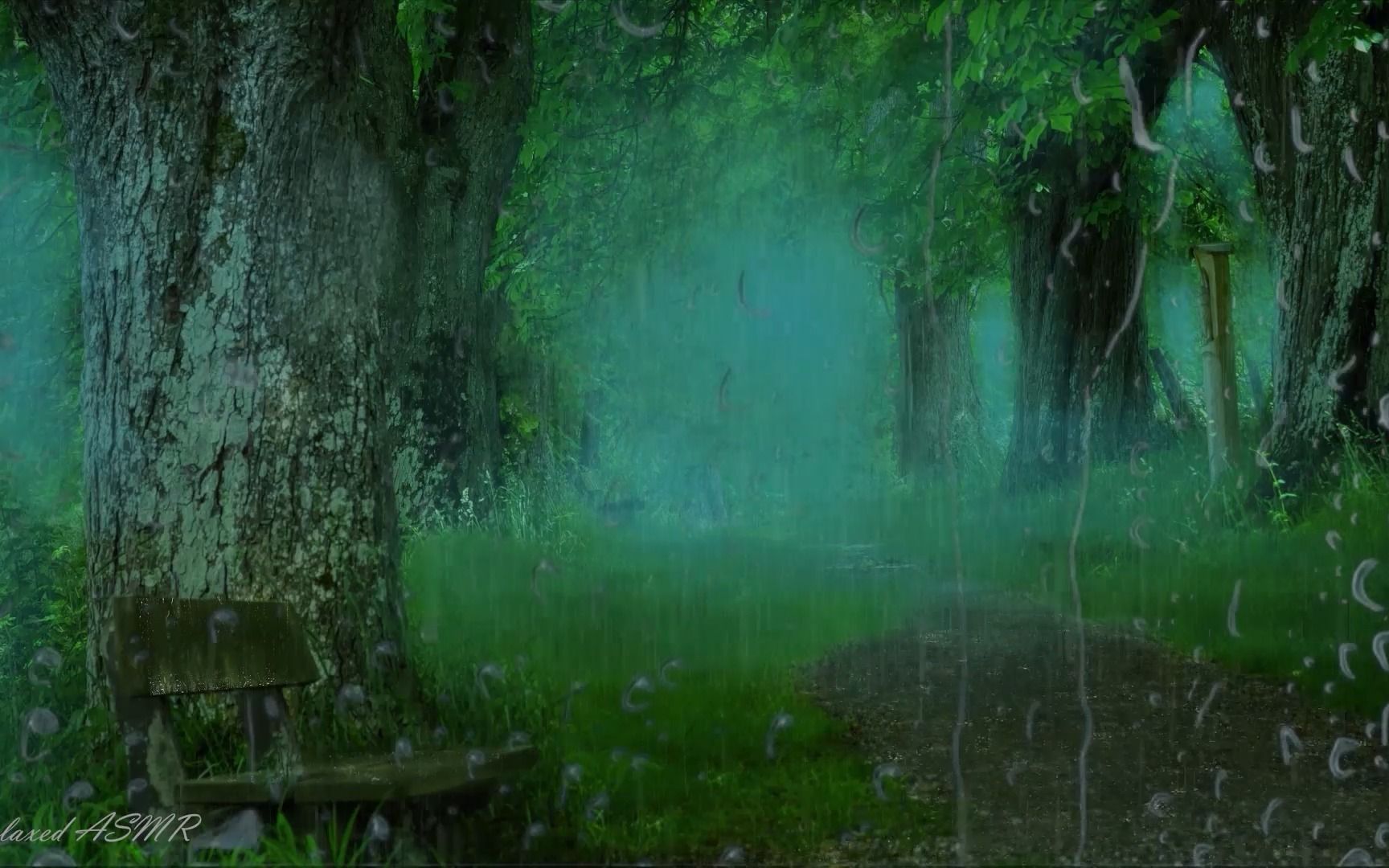 迷雾森林的雨(21),雨声,快速入睡,深度睡眠,催眠曲,白噪音,asmr,睡眠