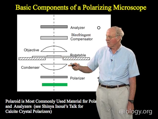 【公开课】【荧光显微镜系列6】偏振光显微镜(英文字幕)哔哩哔哩bilibili