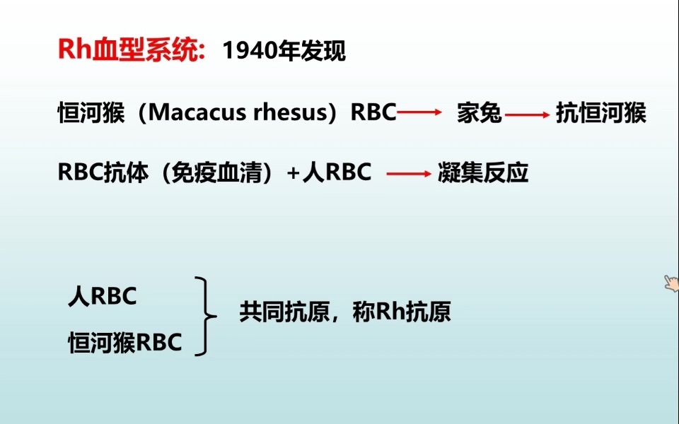 新生儿溶血症Rh血型哔哩哔哩bilibili