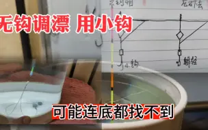 Télécharger la video: 无钩调漂，用小钩，你可能连底都钓不到