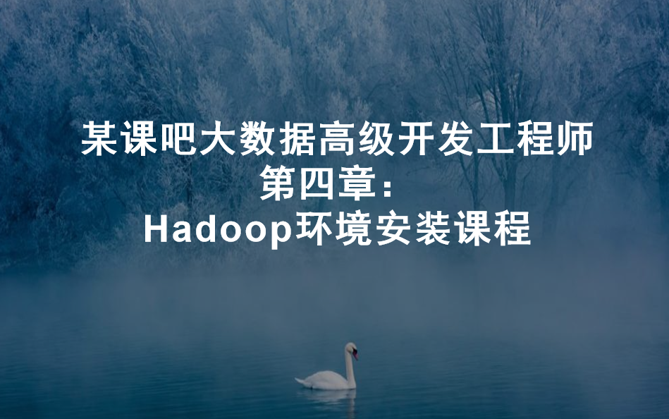 [2022]大数据高级开发04:Hadoop环境安装课程哔哩哔哩bilibili