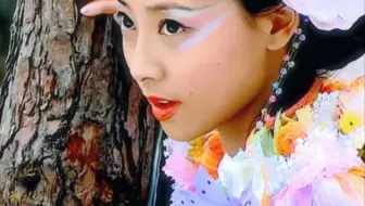 当年只顾着看主角团打怪恋爱，却忽略了又美又善良的小蝴蝶，她是多少人的意难平？