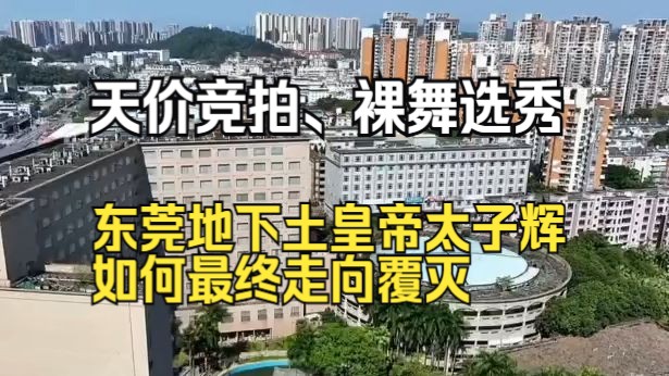 天价竞拍、裸舞选秀,东莞地下土皇帝太子辉如何最终走向覆灭?哔哩哔哩bilibili