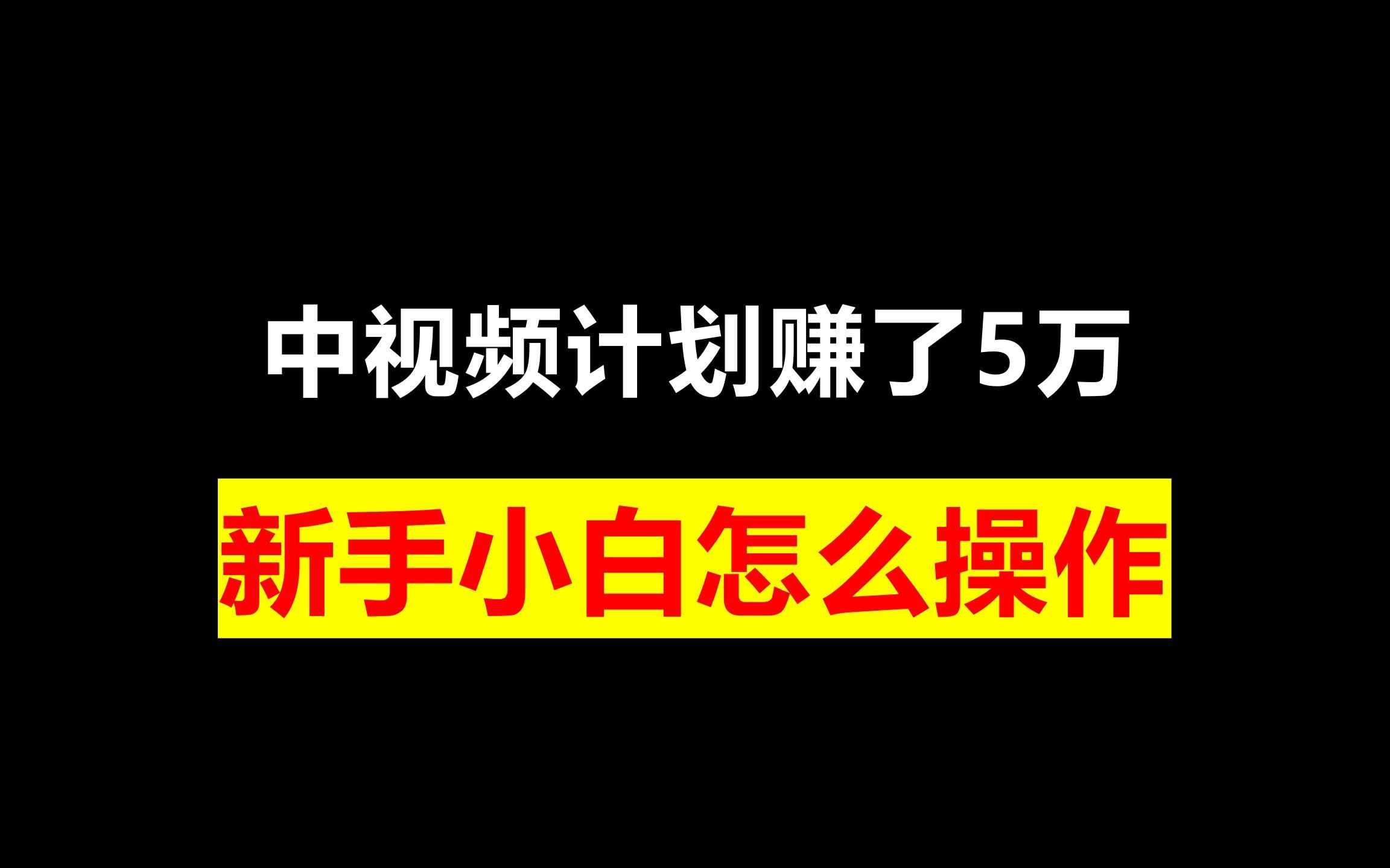 [图]中视频计划赚了5万