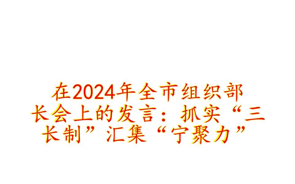 在2024年全市组织部长会上的发言:抓实“三长制”汇集“宁聚力”哔哩哔哩bilibili