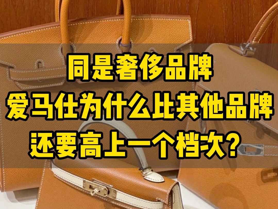 同是奢侈品牌,爱马仕的包包为什么能比香奈儿、LV、Gucci等品牌还要高上一个档次?哔哩哔哩bilibili