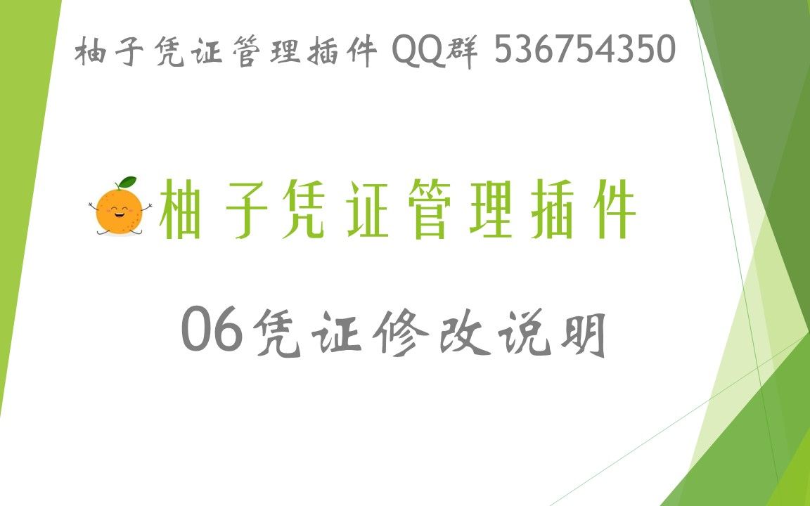 06凭证修改说明 金蝶用友1秒导入5000张发票凭证柚子凭证管理插件 QQ群 536754350哔哩哔哩bilibili