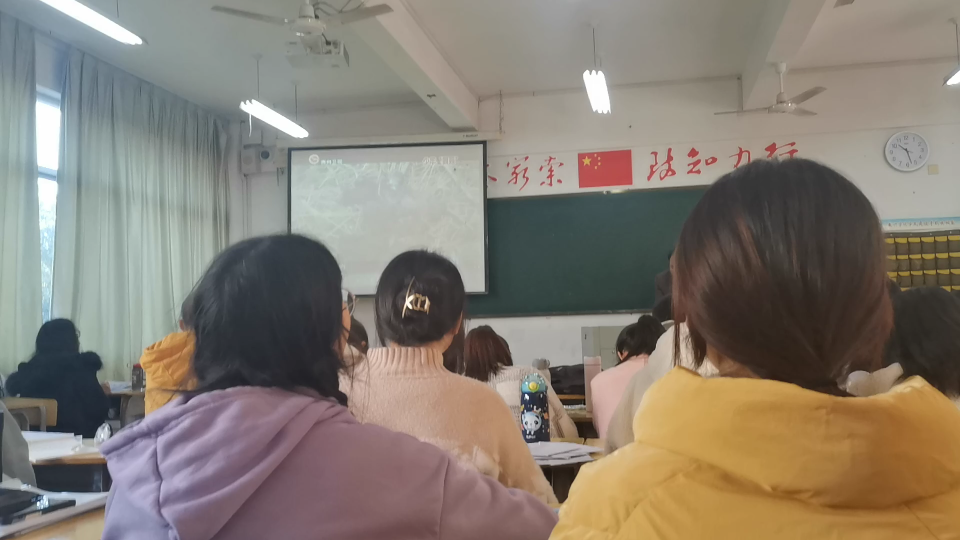 教育学课观看狼孩哔哩哔哩bilibili