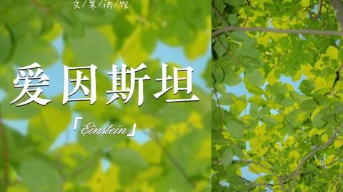 名言 爱因斯坦 我从不去想未来 因为它来得已经够快的了 哔哩哔哩 名言 爱因斯坦 我从不去想未来 因为它来得已经够快的了 哔哩哔哩