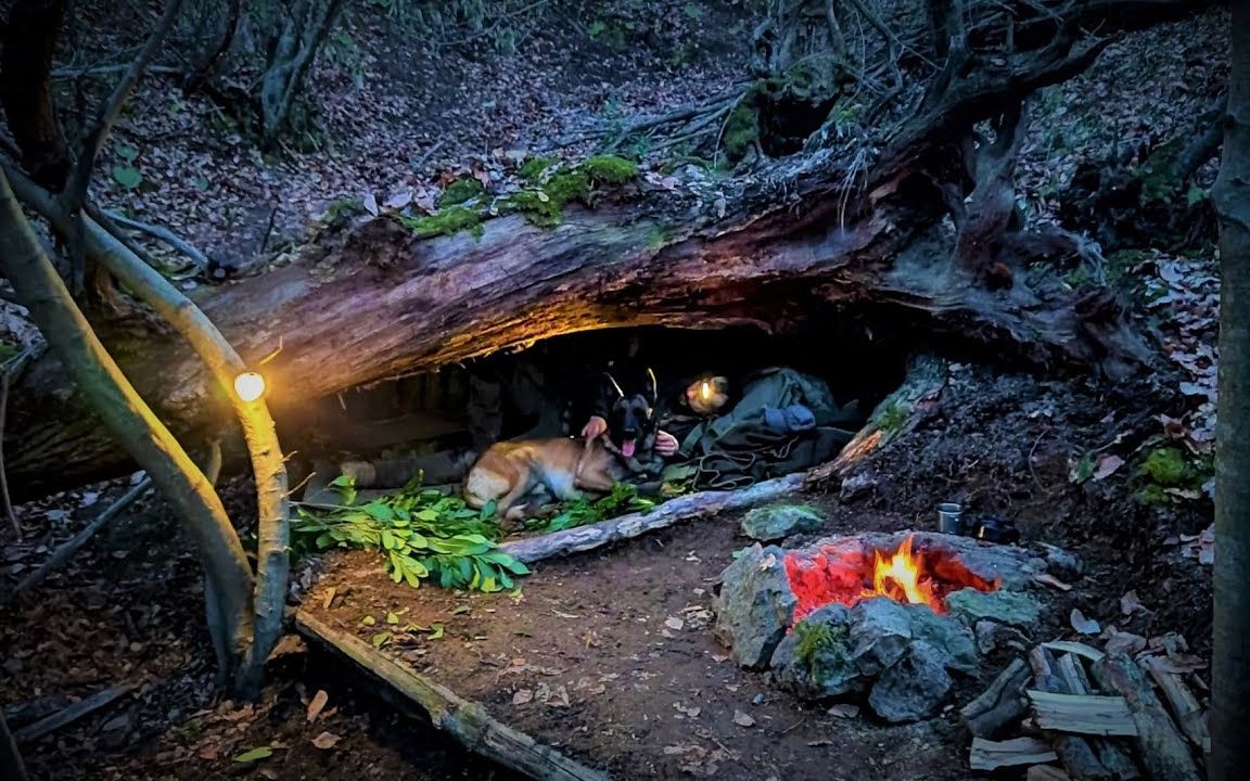 【油管搬运】国外小哥的原始生存庇护所野营-天然丛林庇护所