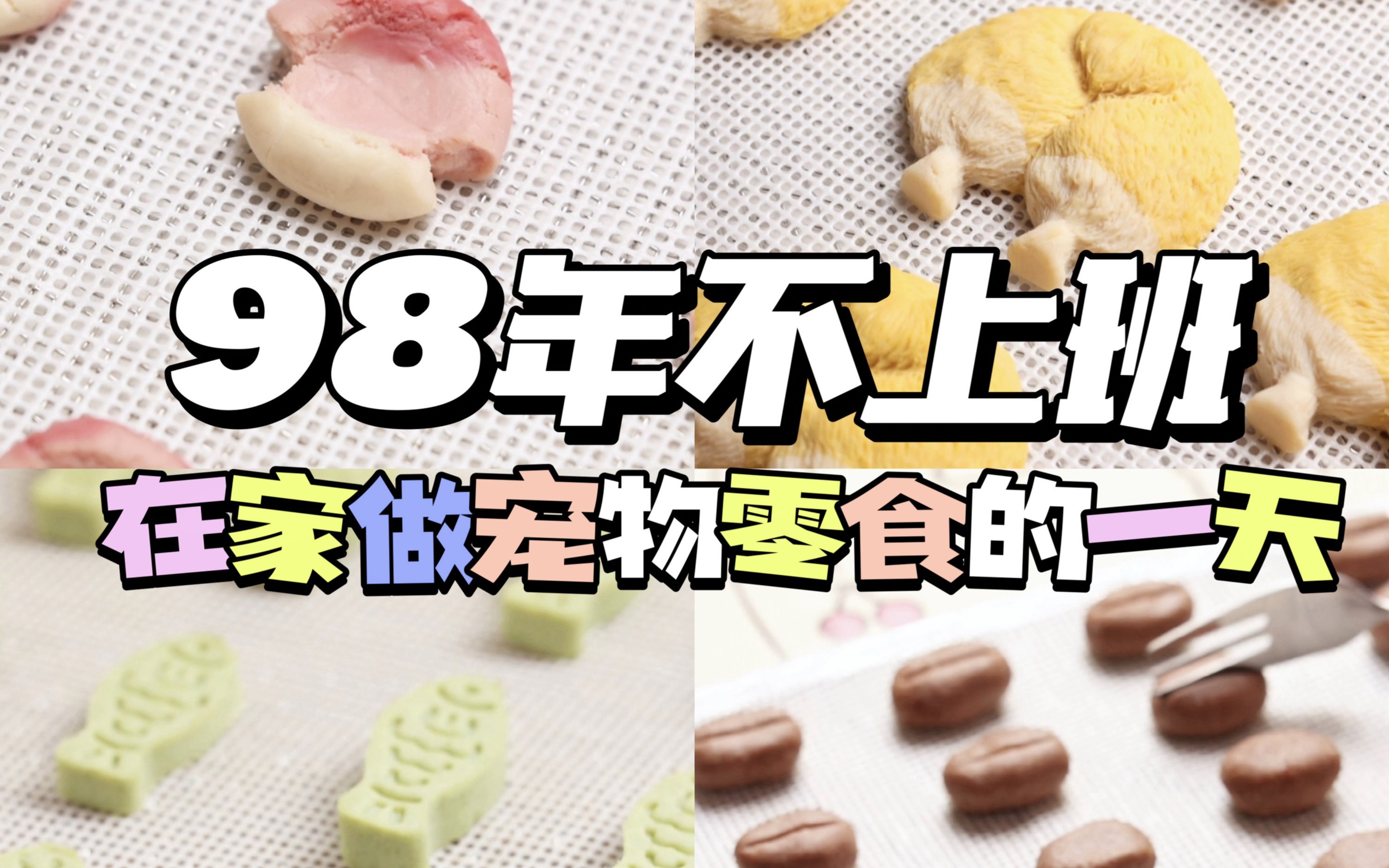 98年创业日常|沉浸式制作宠物零食,月入2w哔哩哔哩bilibili