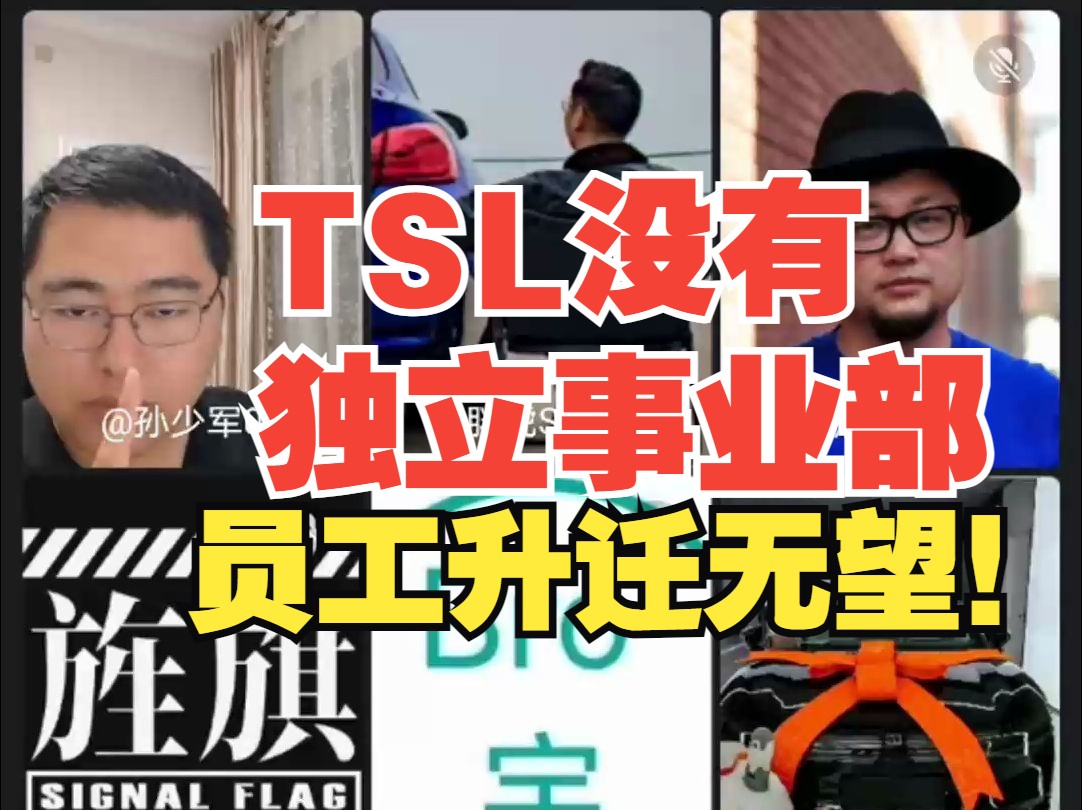 TSL没有独立事业部,员工升迁无望 孙少军和朋友们 4月17日哔哩哔哩bilibili