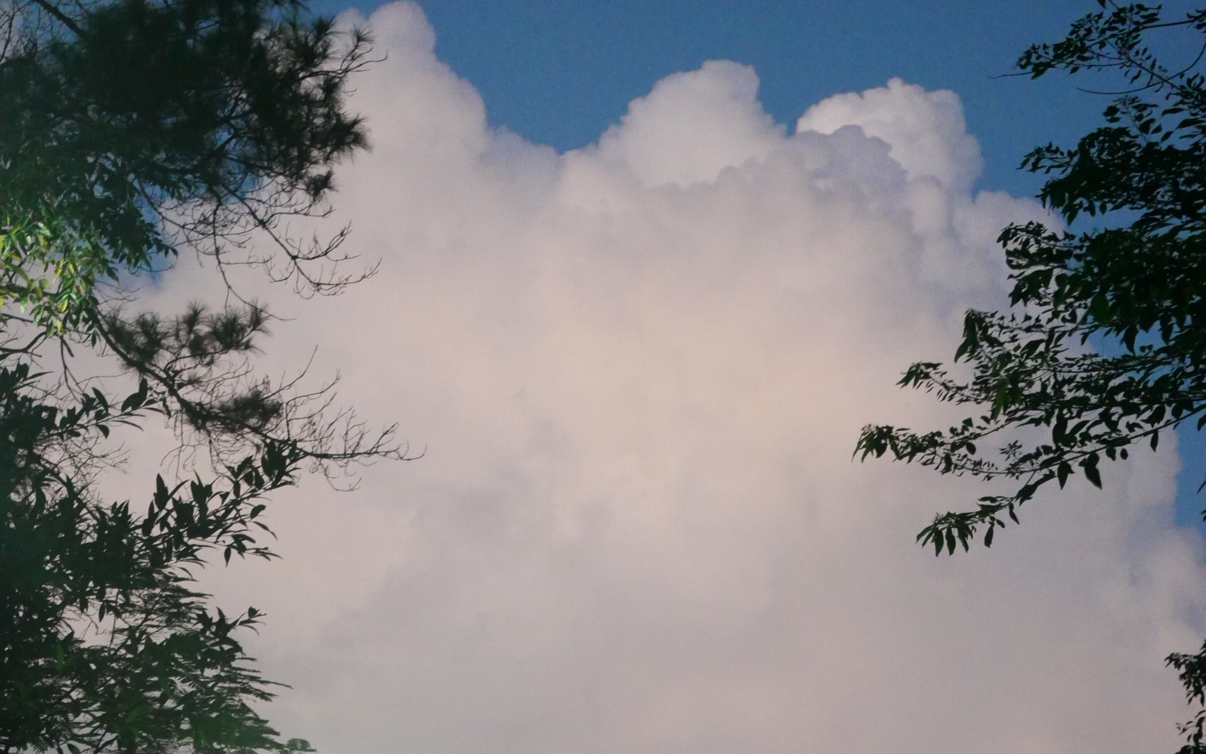 [图]"Behind the clouds there is a castle in the sky"